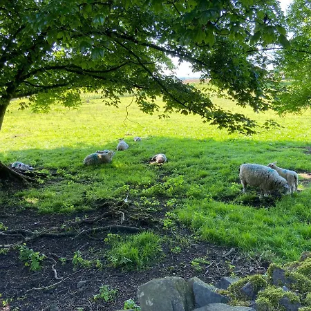 Barnhaven, Beautiful Converted Coach House In National Park *