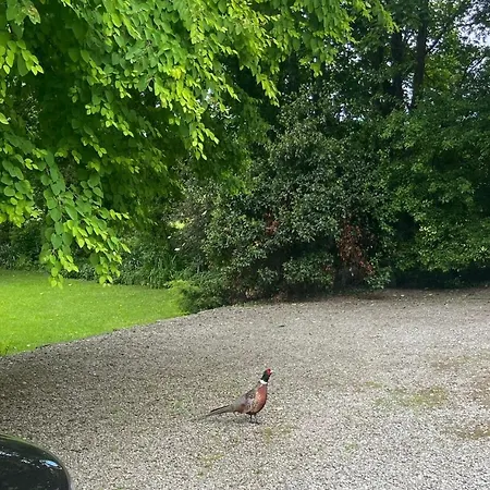 Barnhaven, Beautiful Converted Coach House In National Park Dom wakacyjny